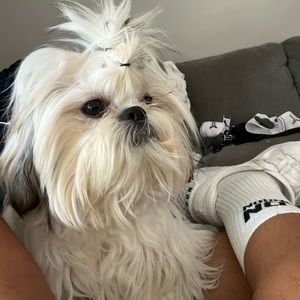 Meet your Posher, Raymundo